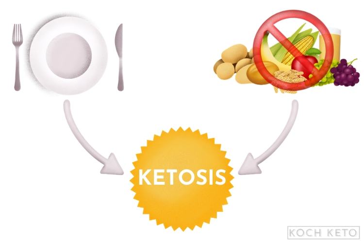 Fasting And No Carbs Lead To Ketosis Infographic