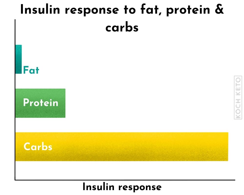 Insulin Response to Fat, Protein And Carbs Infographic