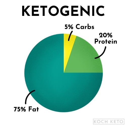 Ketogenic Diet Daily Calorie Distribution Infographic