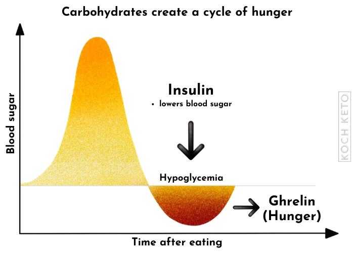 Carbohydrates Create a Cycle of Hunger Infographic