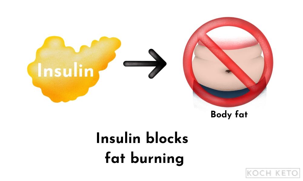 Insulin Blocks Fat Burning Infographic