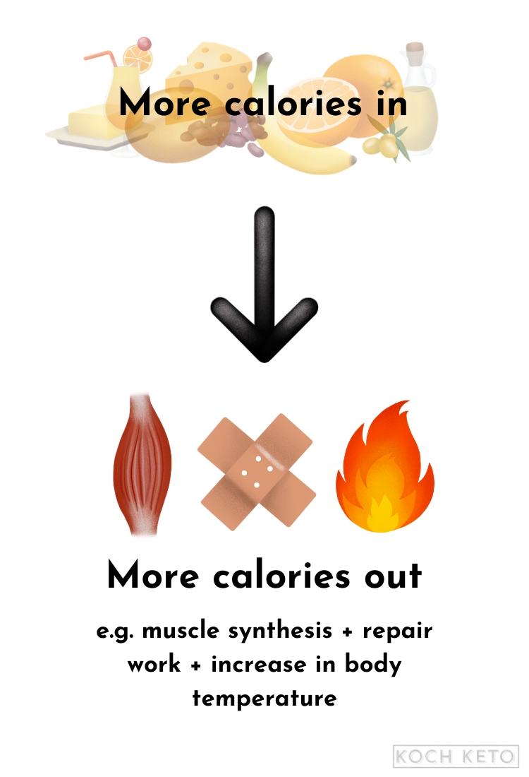 More calories in equals more calories out Infographic