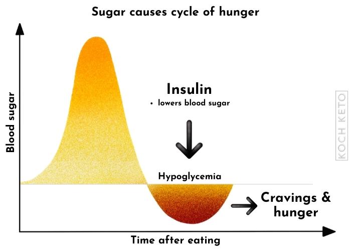 Sugar causes cycle of hunger & cravings Infographic