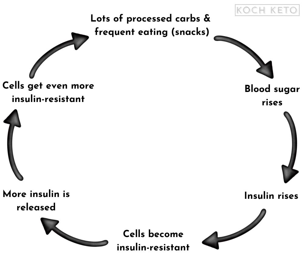The vicious cycle of insulin resistance Infographic